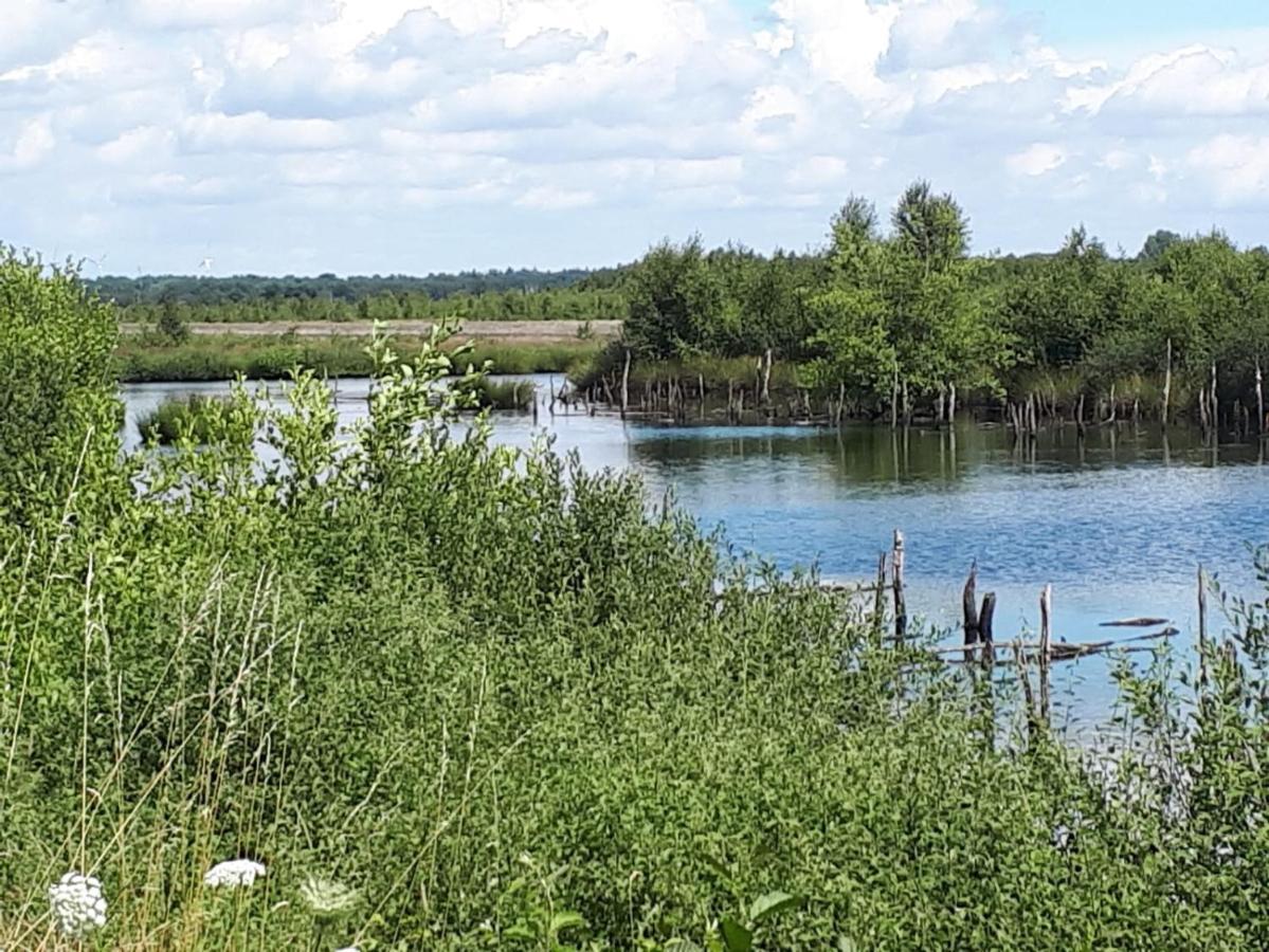 Haus Am Moor Villa Rehden Buitenkant foto